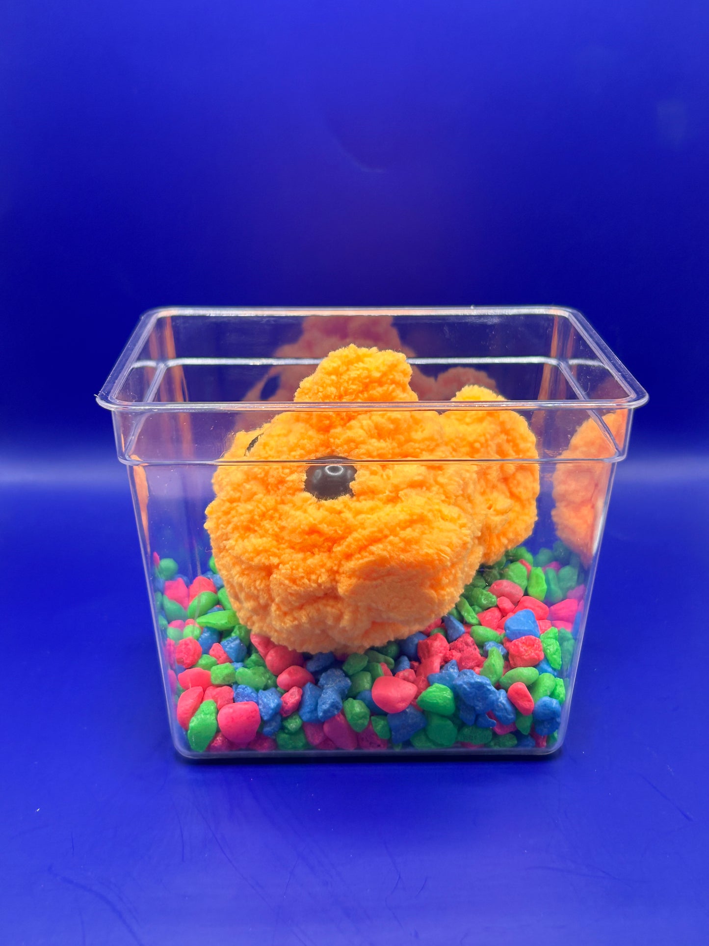 Fish Crochet Plushie