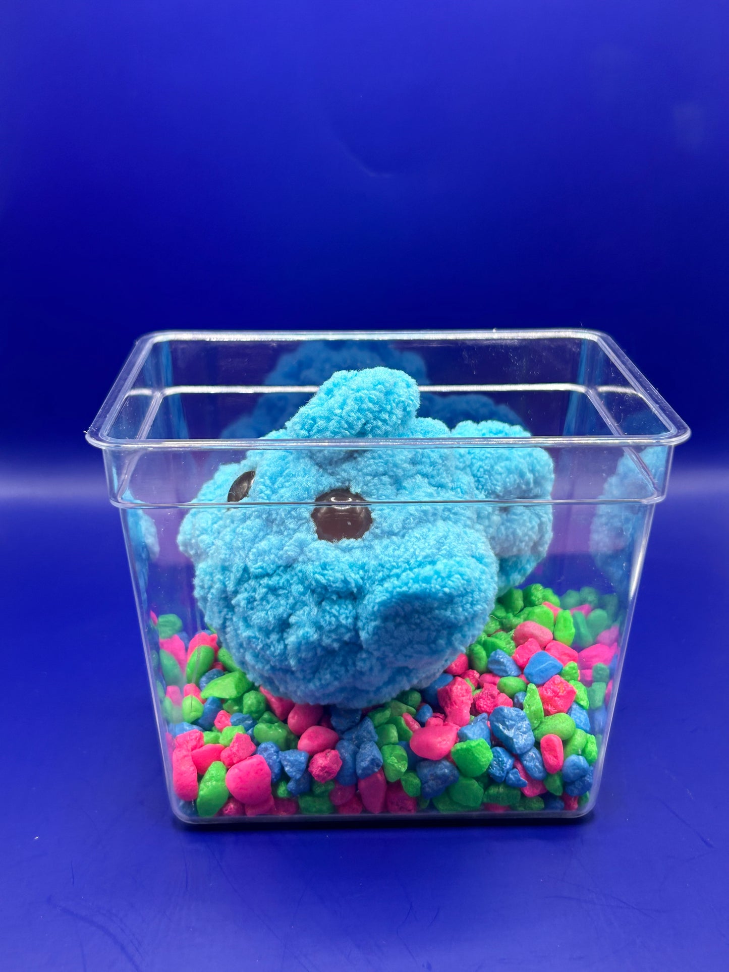 Fish Crochet Plushie