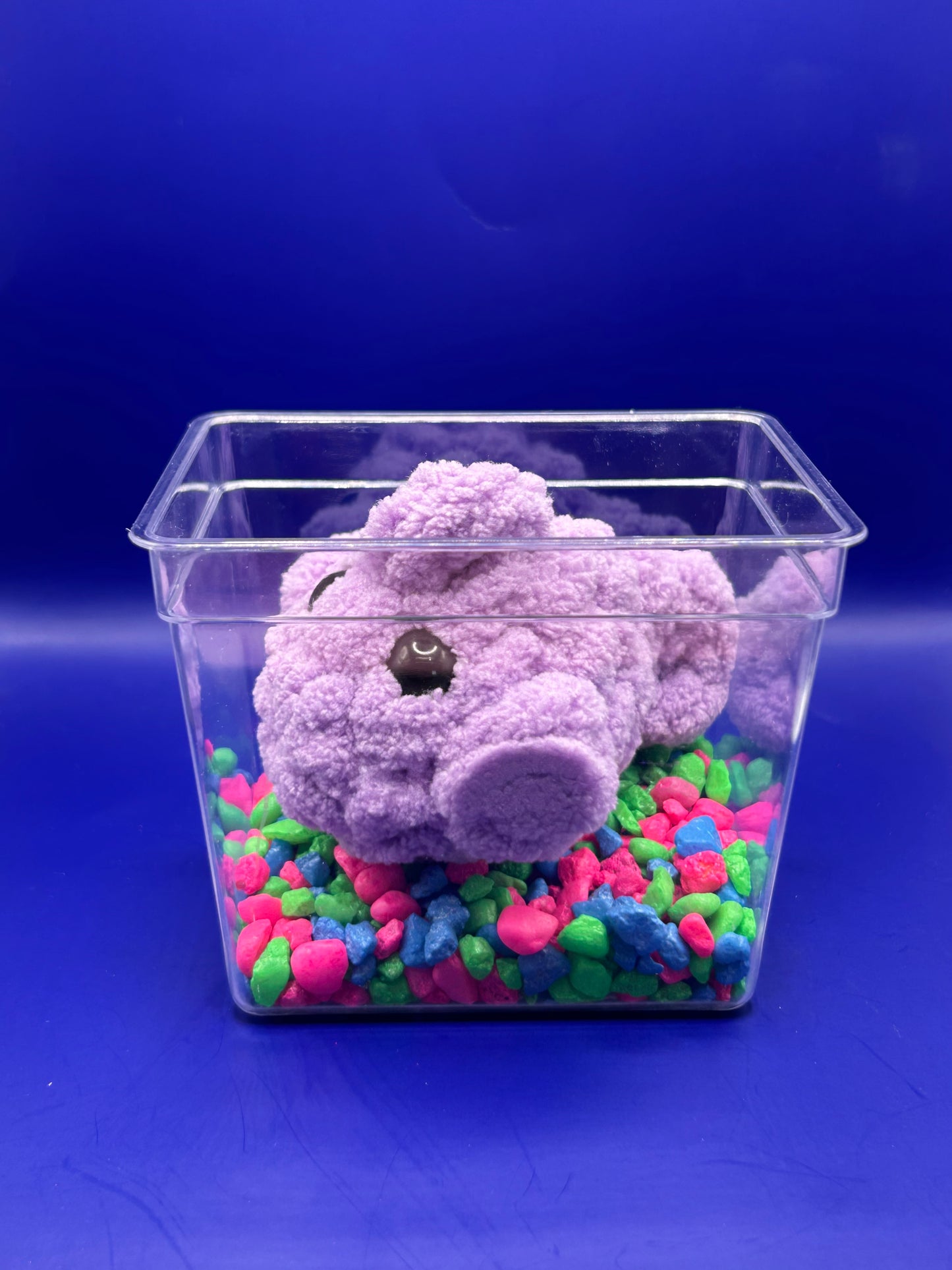 Fish Crochet Plushie