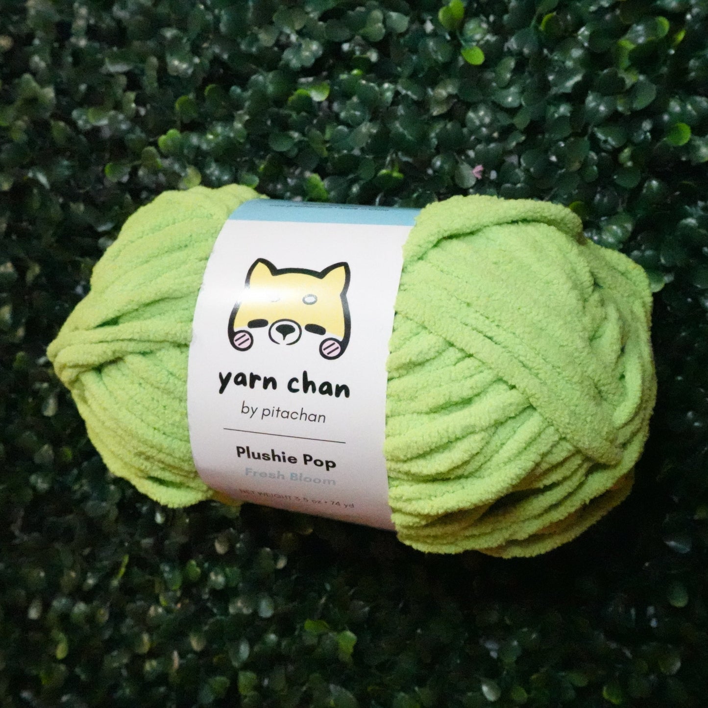 Yarn Chan Plushie Pop Yarn | Fresh Bloom