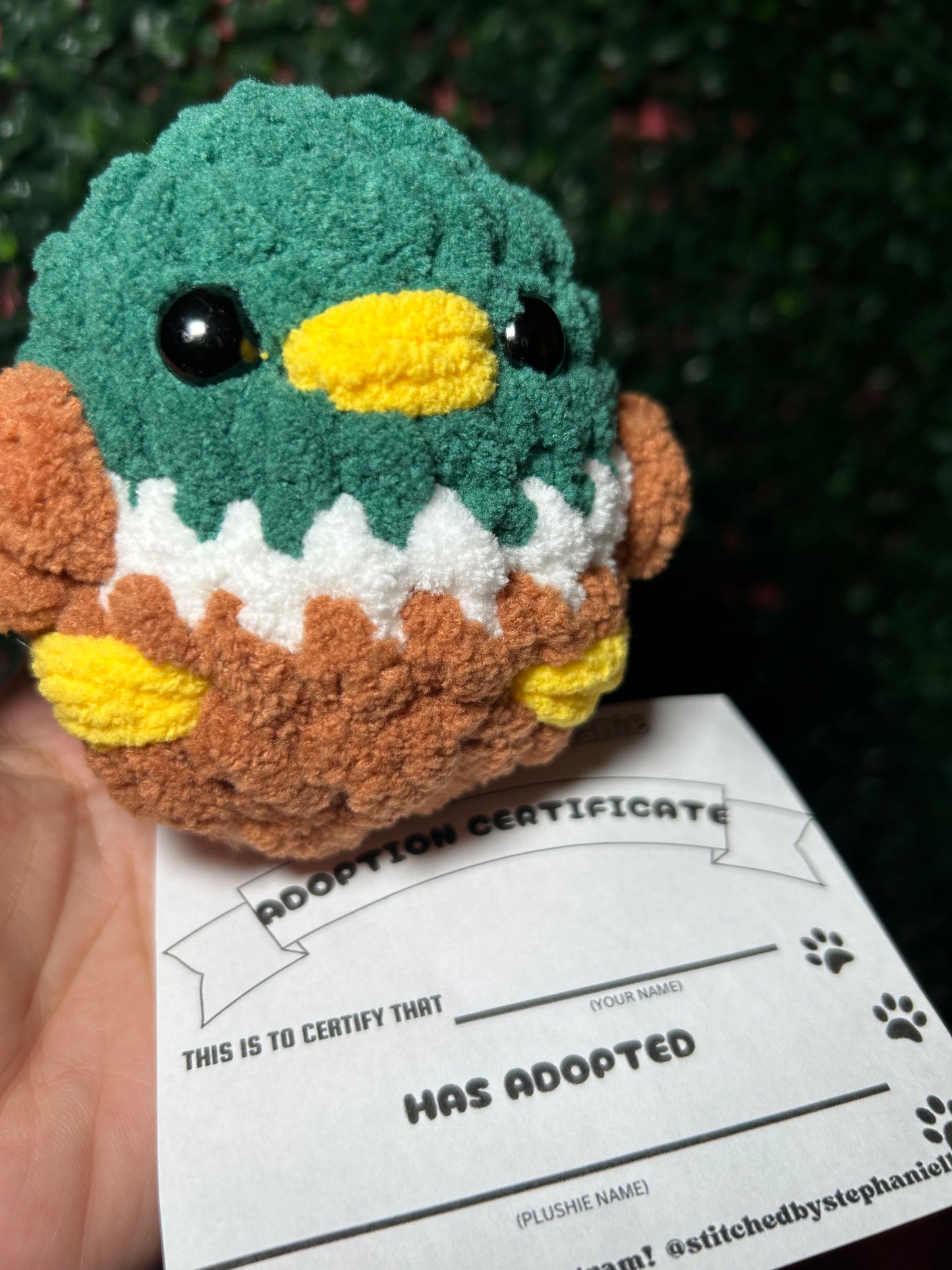 Mallard Crochet Duck, Amigurumi Duck