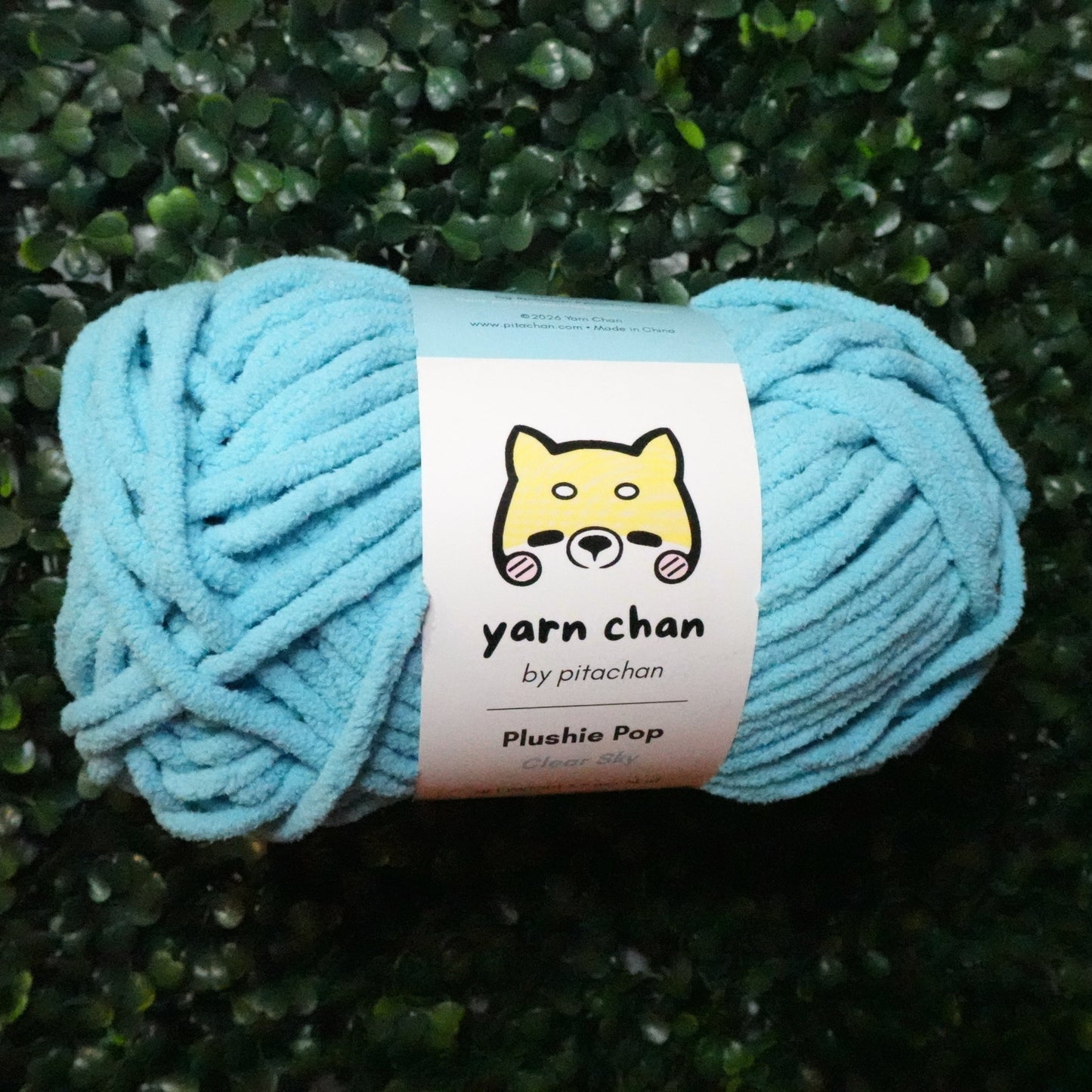 Yarn Chan Plushie Pop Yarn | Clear Sky