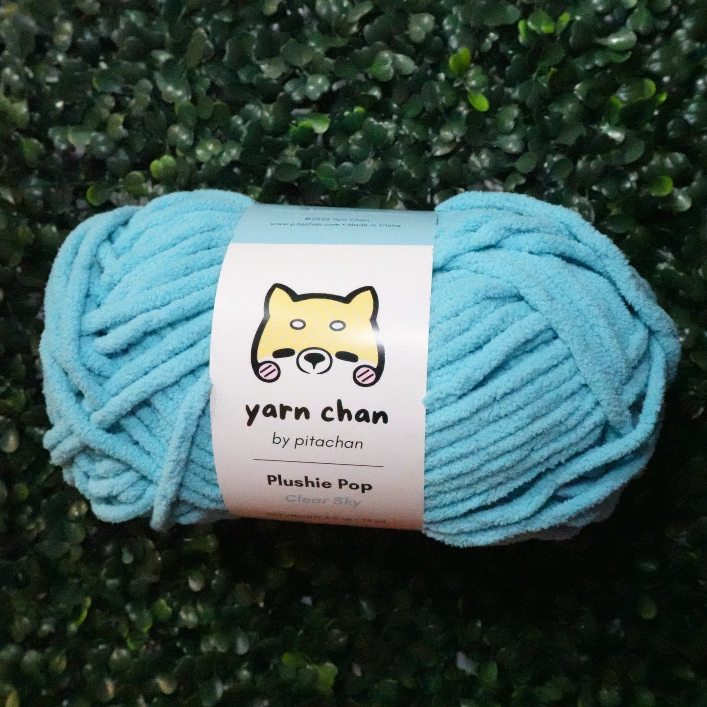 Yarn Chan Plushie Pop Yarn | Clear Sky
