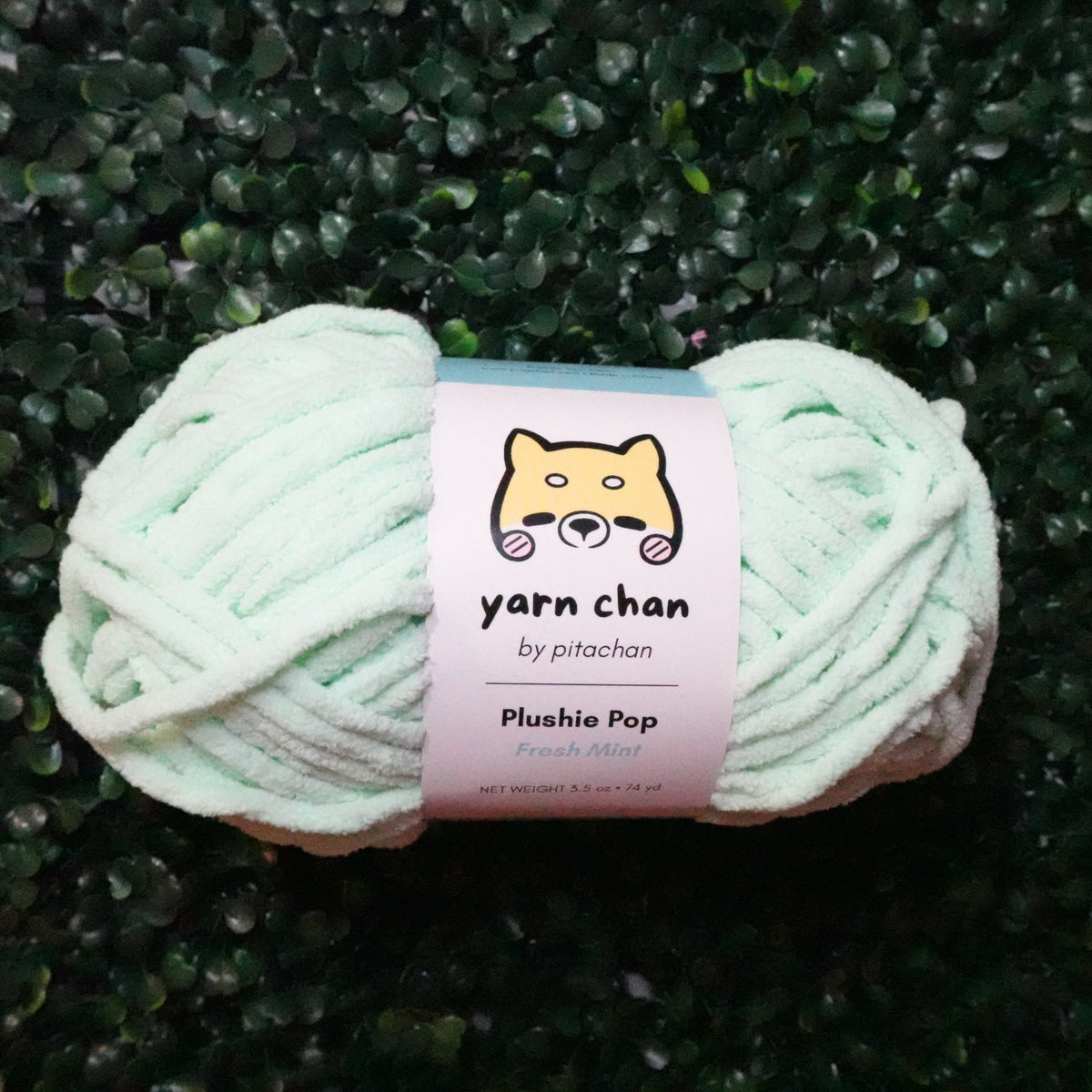 Yarn Chan Plushie Pop Yarn | Fresh Mint