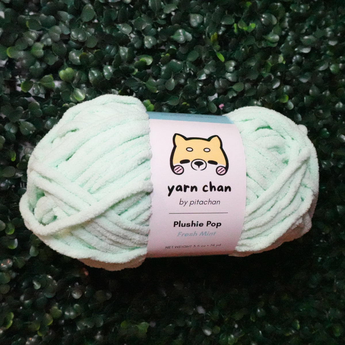 Yarn Chan Plushie Pop Yarn | Fresh Mint